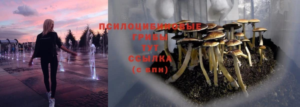 молекула духа Алексин